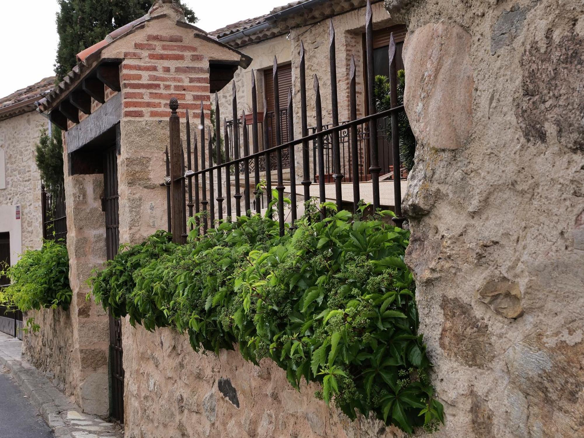 Posada Real Mingaseda Navafria Exterior photo